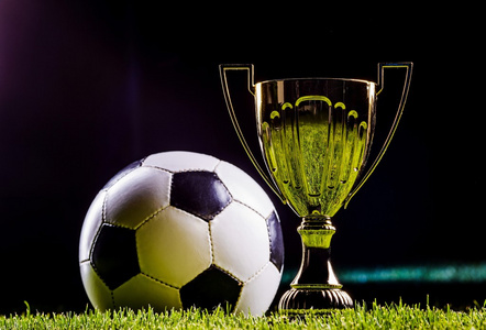 年轻球员的 年轻球员的