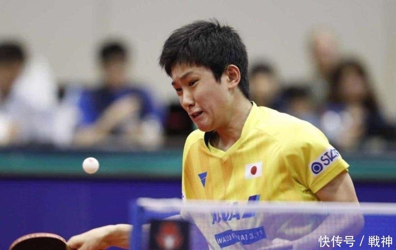 最佳窗口期 最佳窗口期